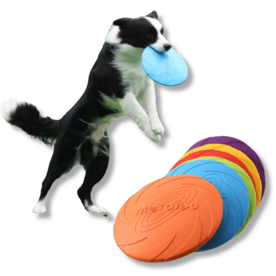 Disco Voador para Cães - Treinamento de Cachorro