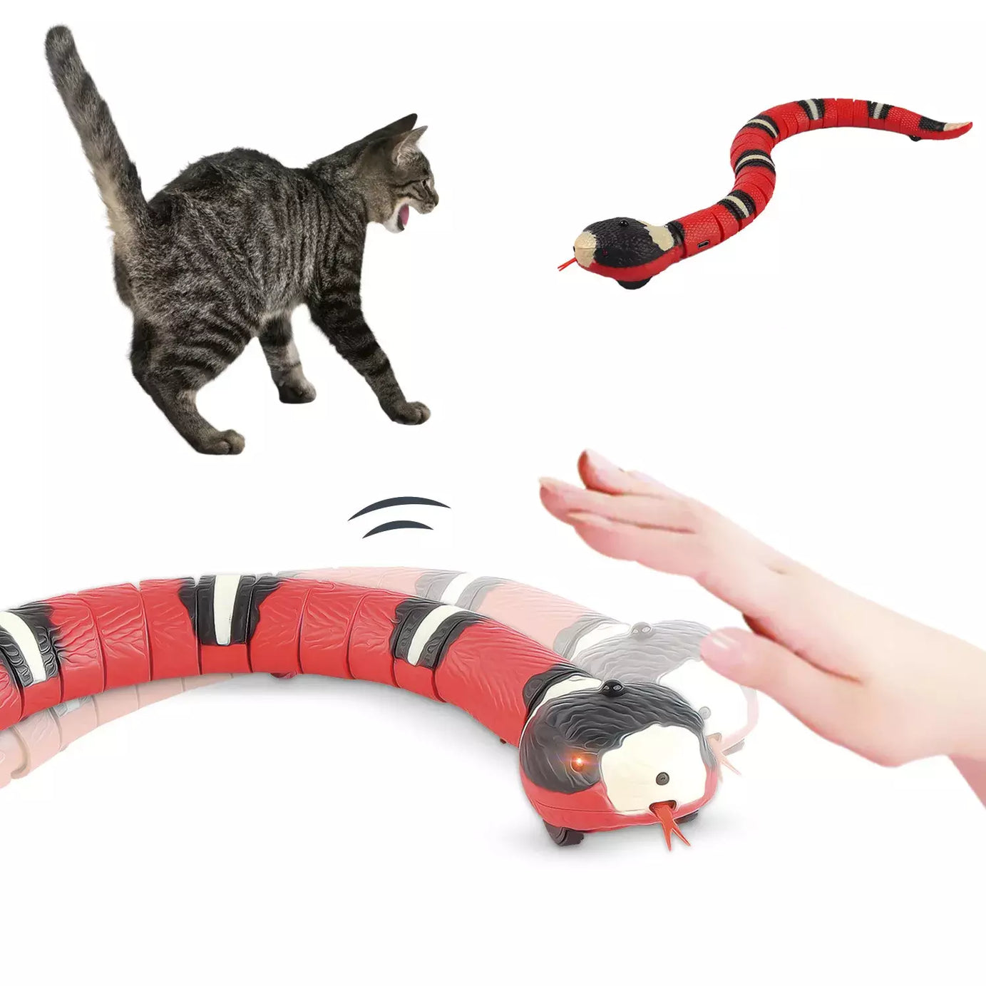 Cobra Inteligente Para Gato