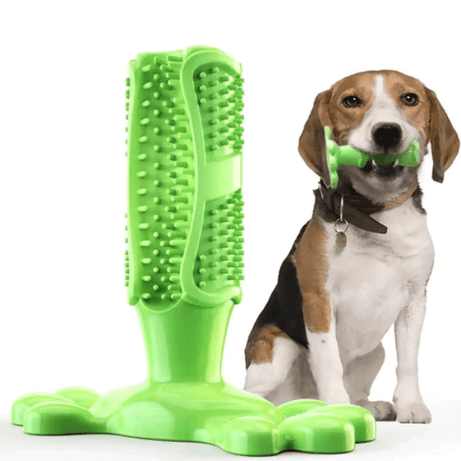 Brinquedo Mordedor para Cães para Limpeza de Dentes