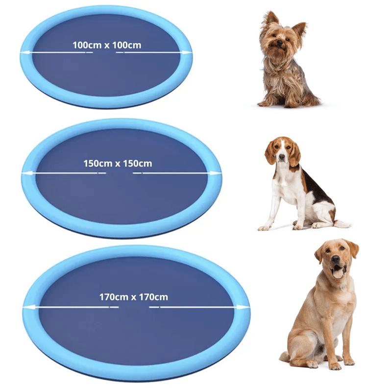 Piscina Para Pets Com Sistema de Irrigação